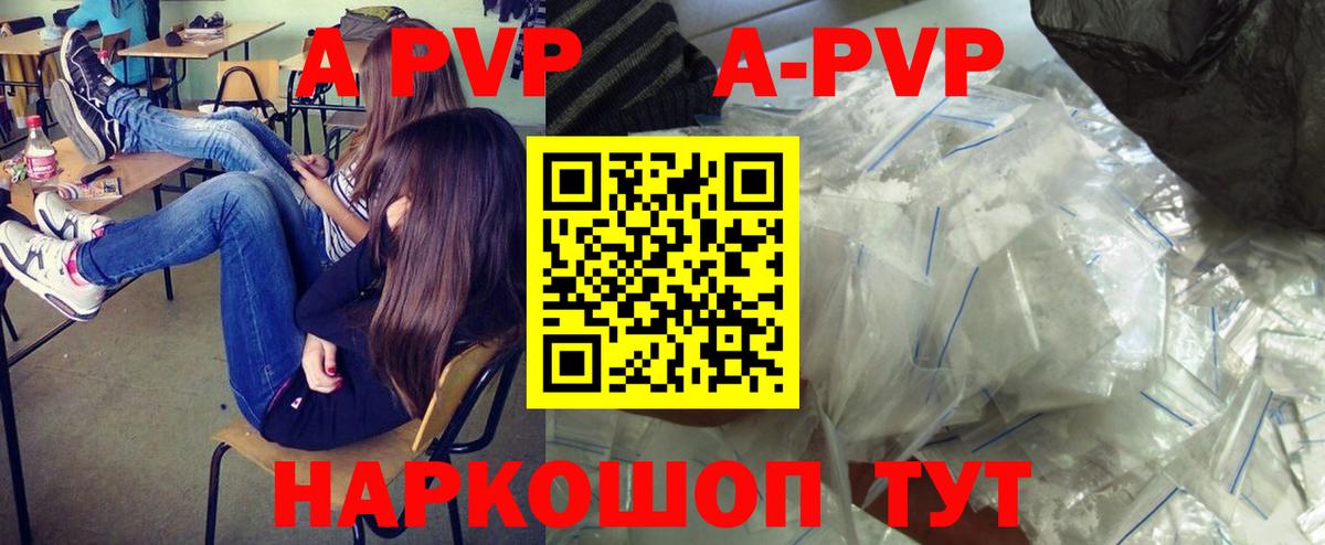 Alfa_PVP СК КРИС Печора