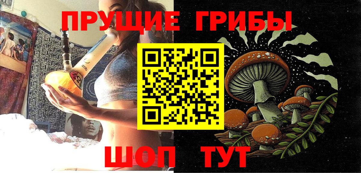Псилоцибиновые грибы GOLDEN TEACHER  Вход с VPN  Галлюциногенные грибы мухоморы  Печора 